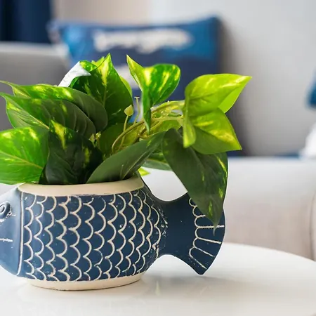 Daire Home2book Aloha Palm *