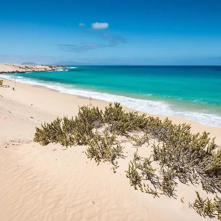 Lägenhet Home2book Aloha Palm