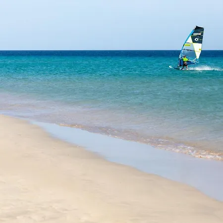 Home2book Aloha Palm Lägenhet